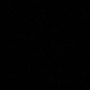 Meet your Posher, Arlene